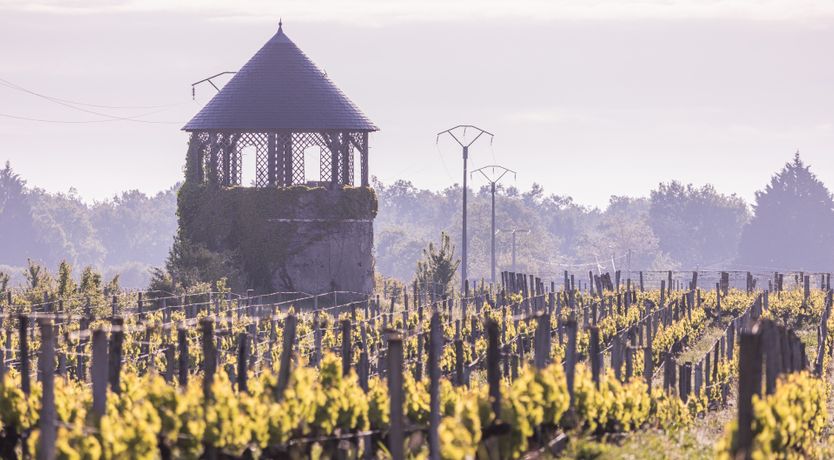 Photo of French Jewel