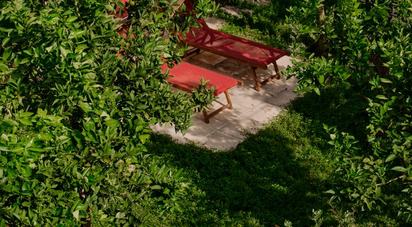 Photo of The Citrus Palazzo