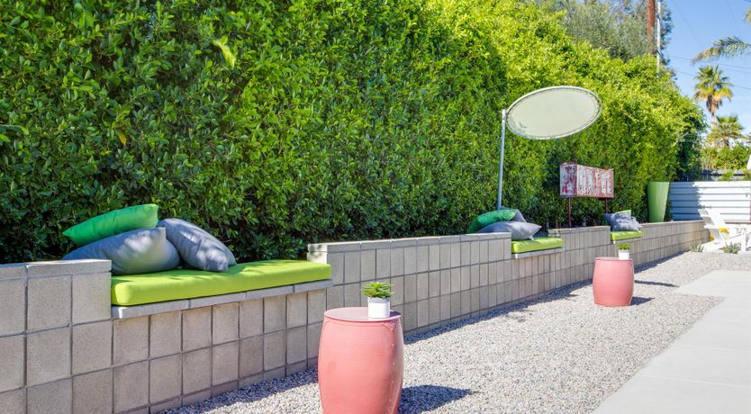 Photo of Cherry Kiss