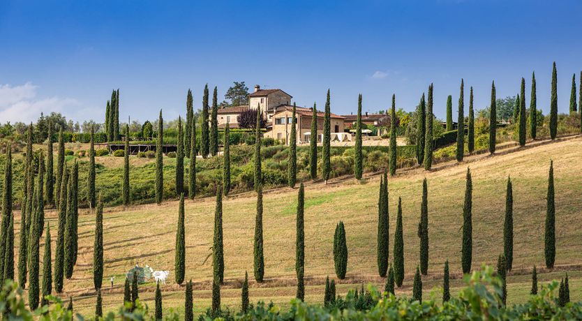 Photo of Silk & Cypress