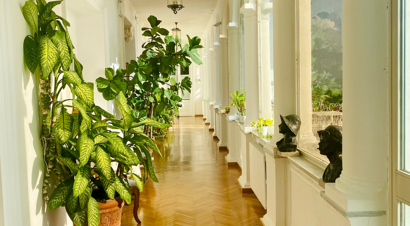 Photo of Vesuvius Views