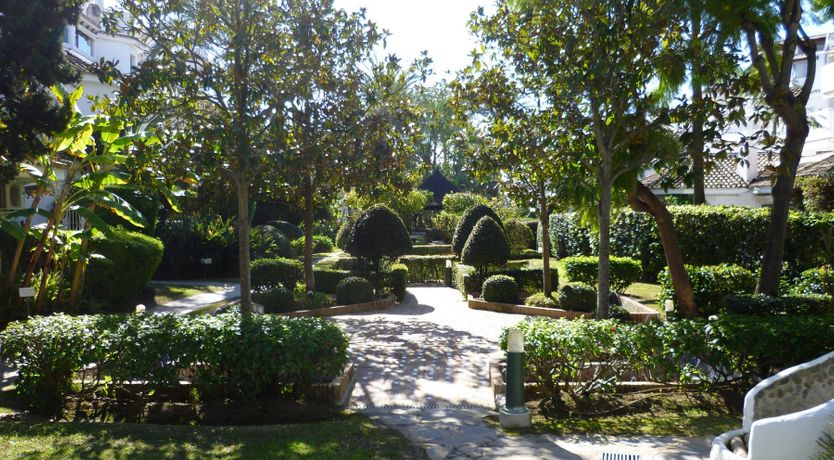 Photo of A Line in the Sand