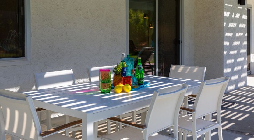 Photo of Palm Tree Visions