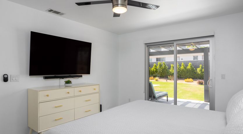 Photo of Palm Tree Visions