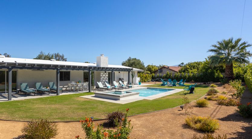 Photo of Palm Tree Visions