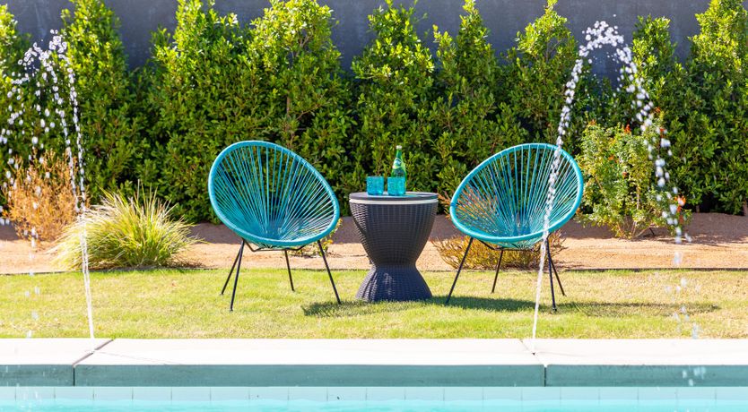 Photo of Palm Tree Visions