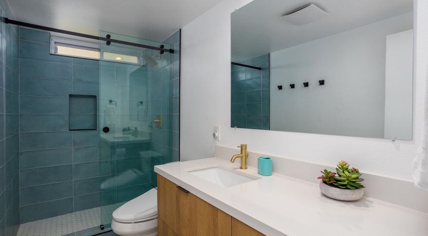 Photo of Palm Tree Visions