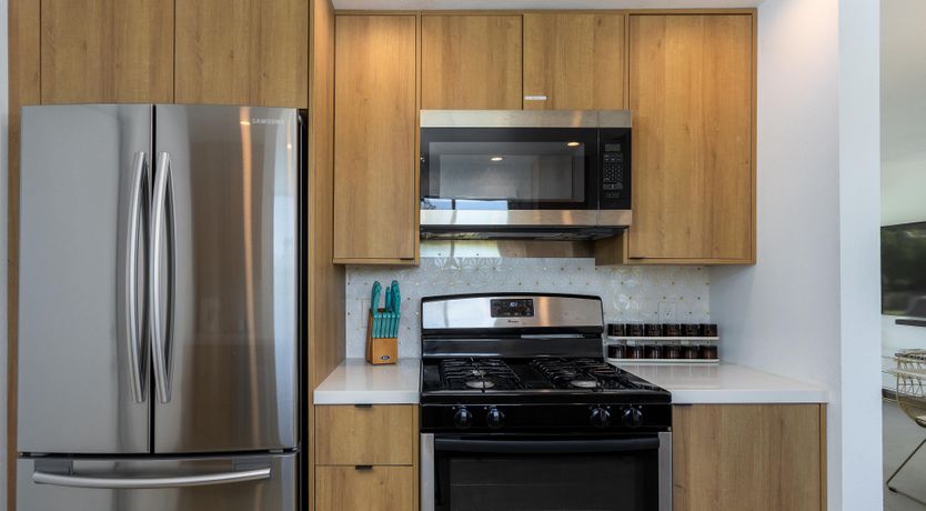 Photo of Palm Tree Visions