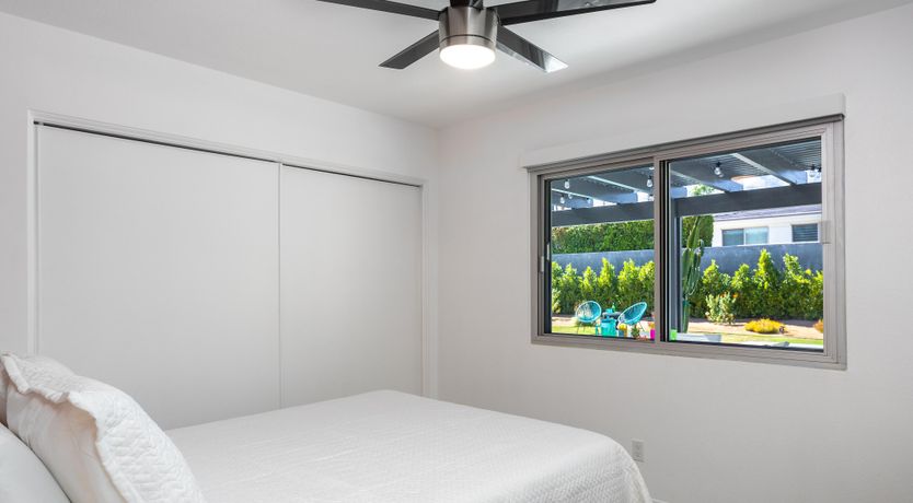 Photo of Palm Tree Visions