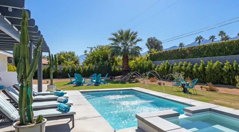 Photo of Palm Tree Visions