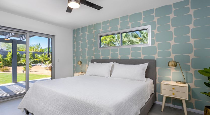 Photo of Palm Tree Visions