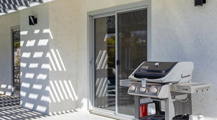 Photo of Palm Tree Visions