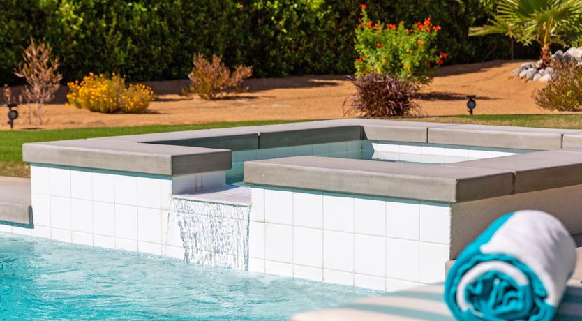 Photo of Palm Tree Visions