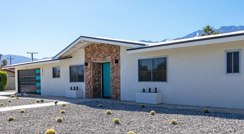 Photo of Palm Tree Visions