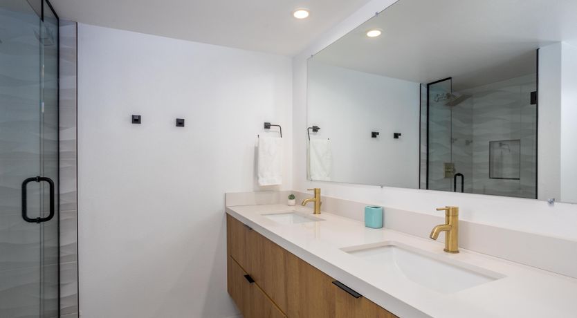 Photo of Palm Tree Visions