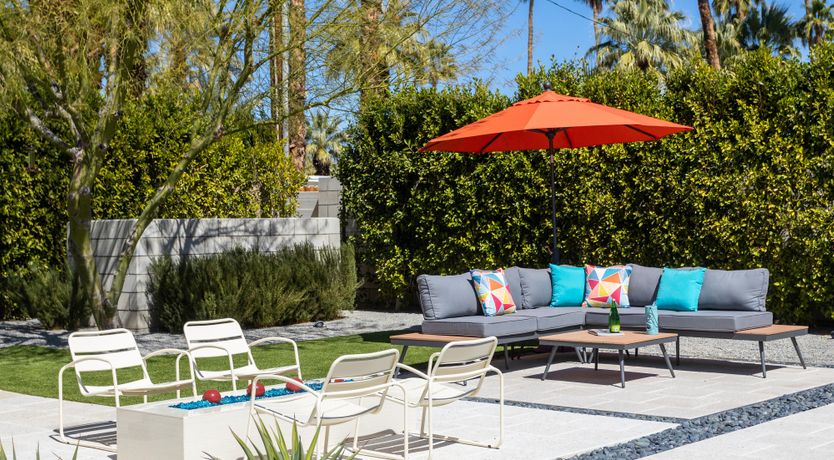 Photo of Mountain Palm