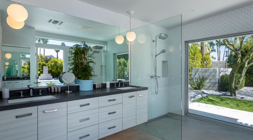 Photo of Mountain Palm