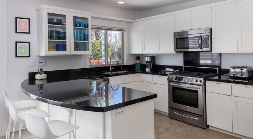 Photo of Mountain Palm