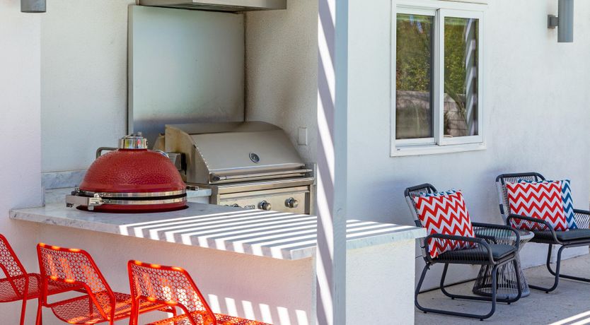 Photo of Mountain Palm