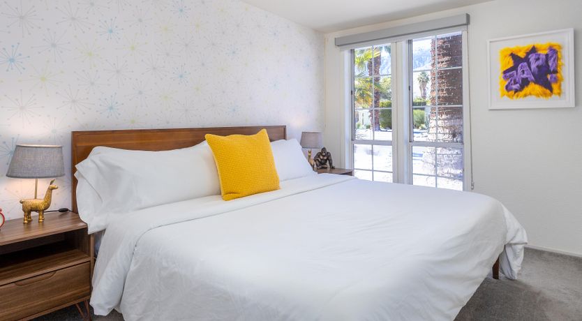 Photo of Mountain Palm