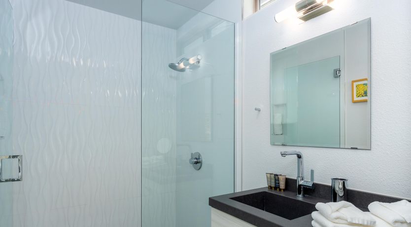 Photo of Mountain Palm