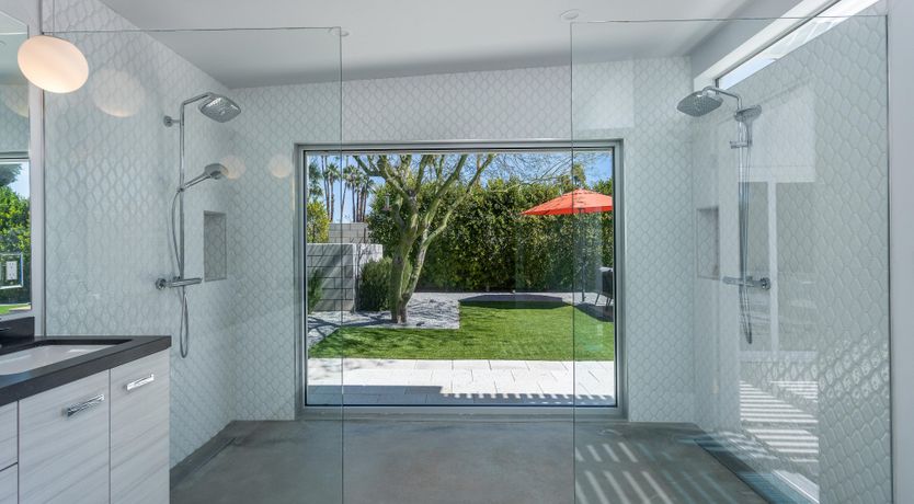 Photo of Mountain Palm