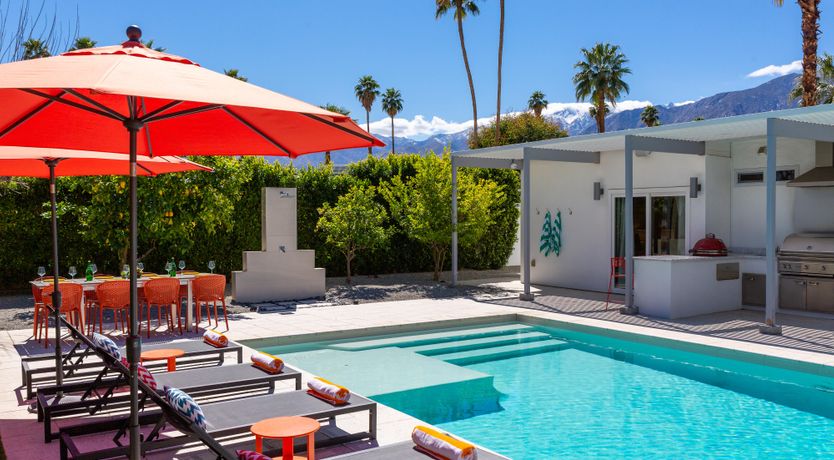 Photo of Mountain Palm