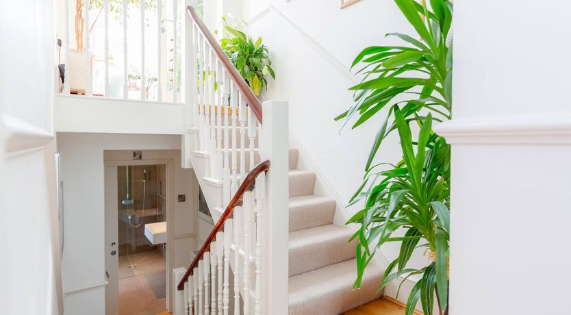 Photo of Rooftop Dream