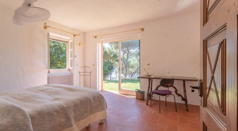 Photo of Vineyard Sunsets