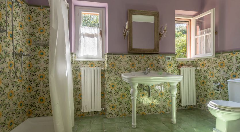 Photo of Vineyard Sunsets