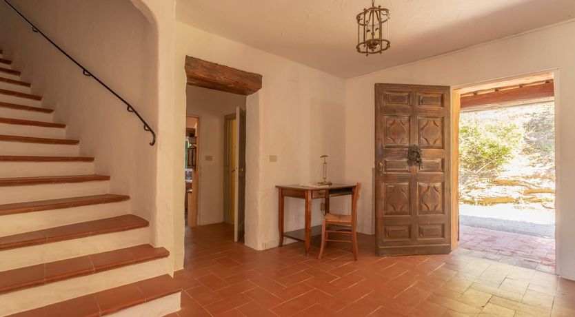 Photo of Vineyard Sunsets