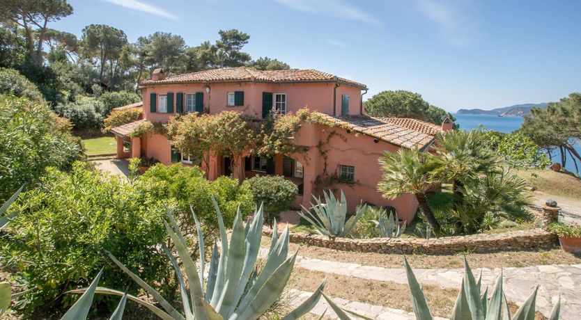 Photo of Vineyard Sunsets