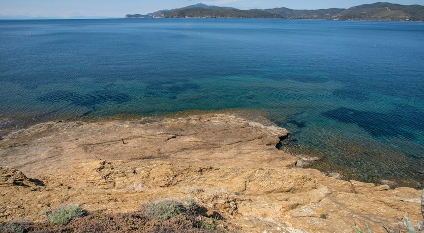 Photo of Vineyard Sunsets