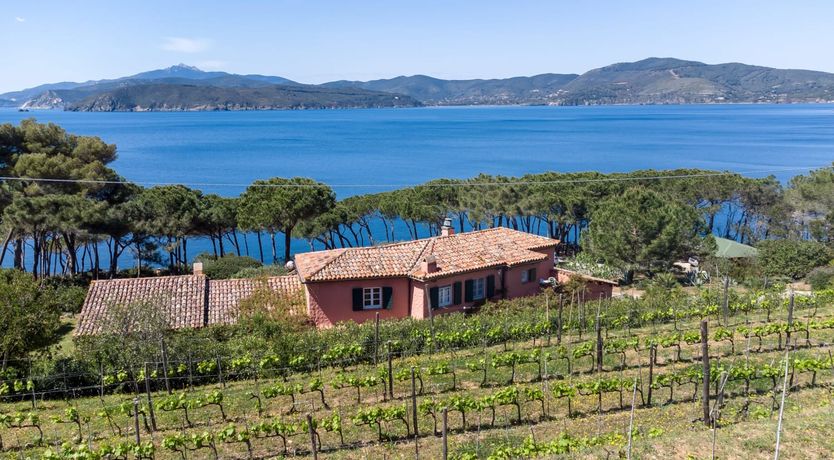 Photo of Vineyard Sunsets