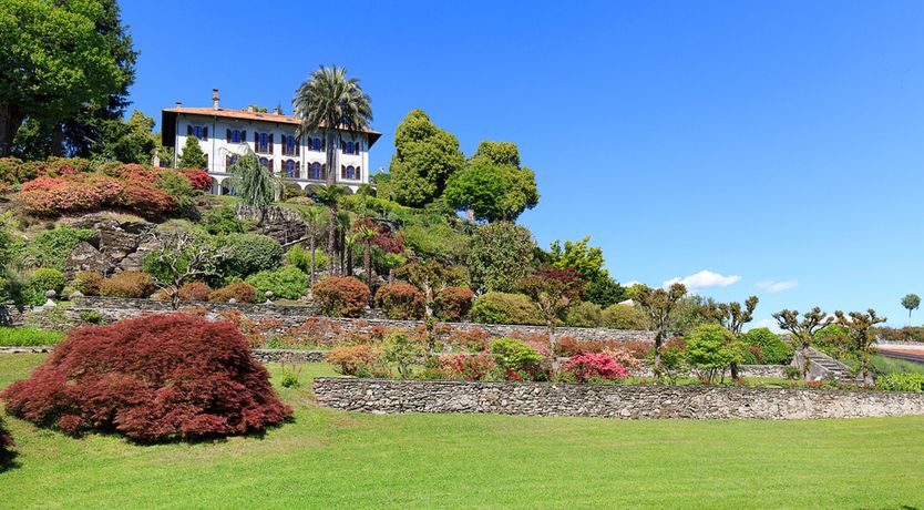 Photo of The Painted Window