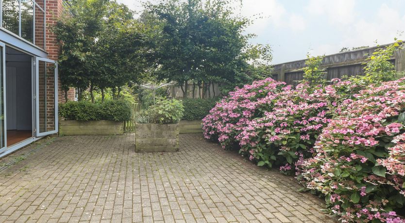 Photo of Ivy & Crimson