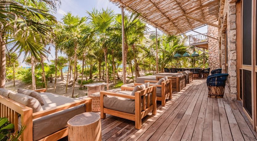 Photo of Jungle Moon