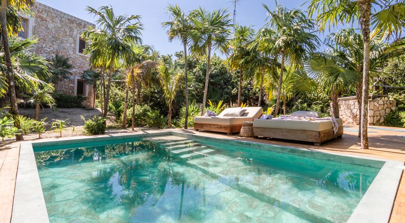 Photo of Jungle Moon