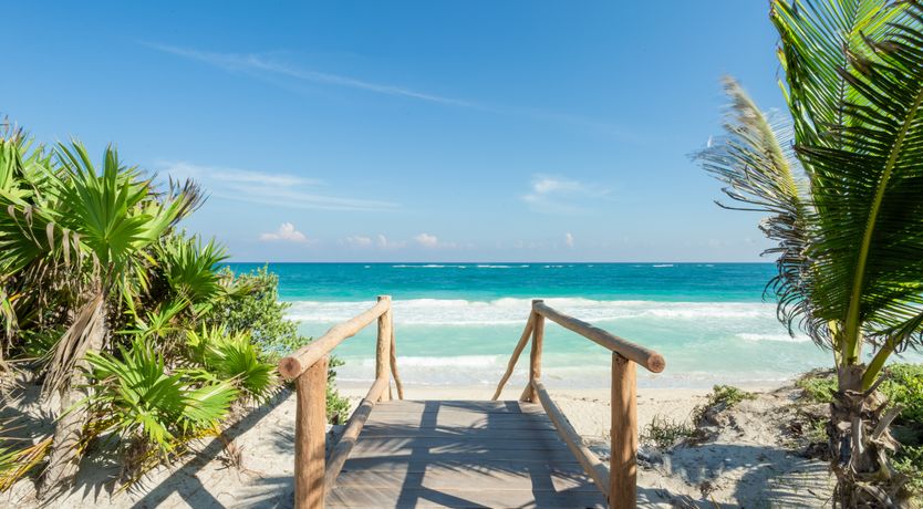 Photo of Jungle Moon