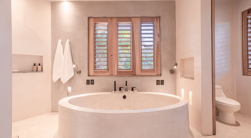 Photo of Jungle Moon