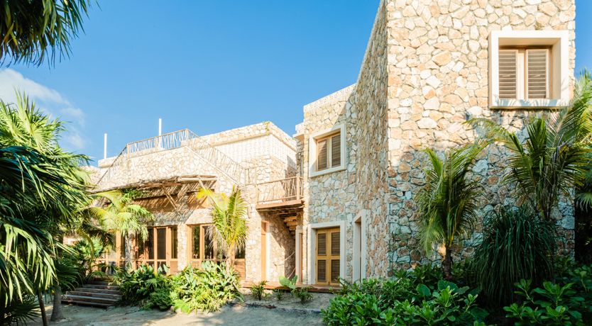 Photo of Jungle Moon