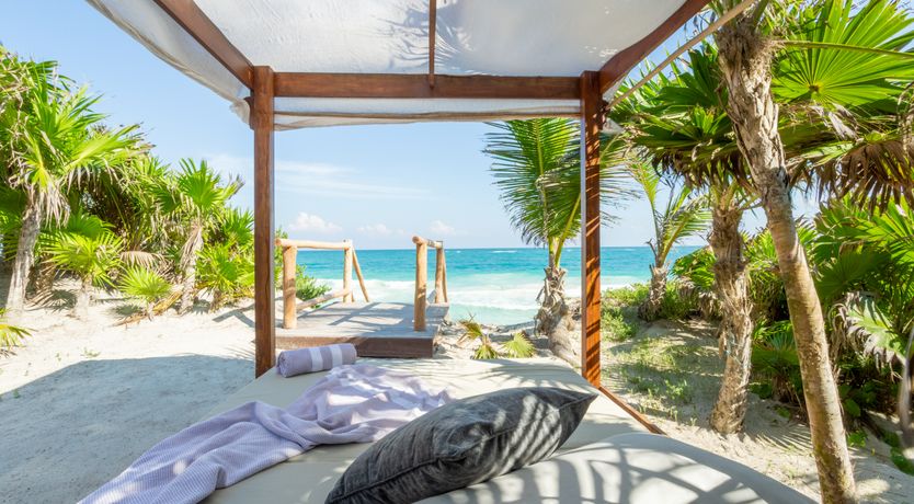 Photo of Jungle Moon