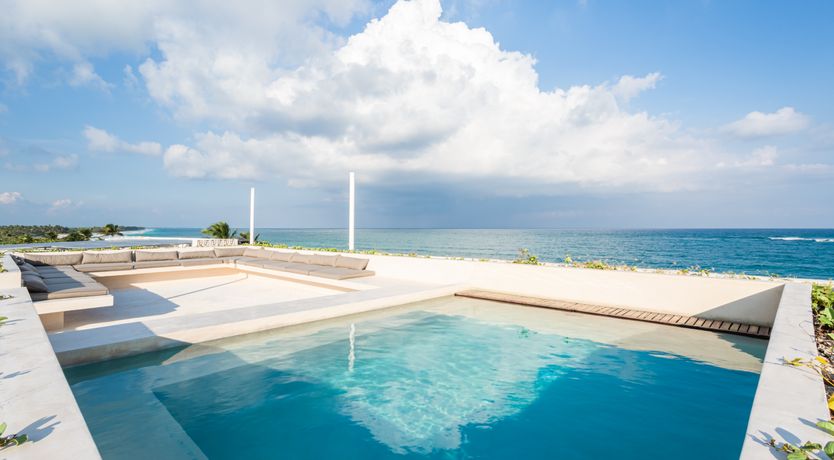 Photo of Jungle Moon