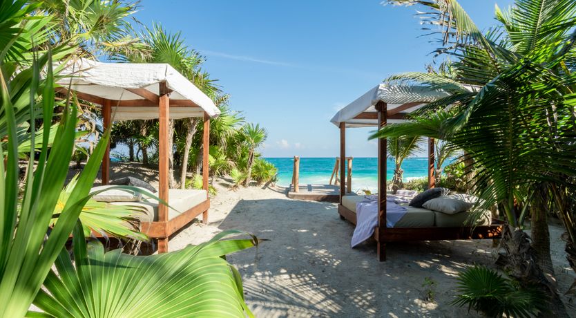 Photo of Jungle Moon