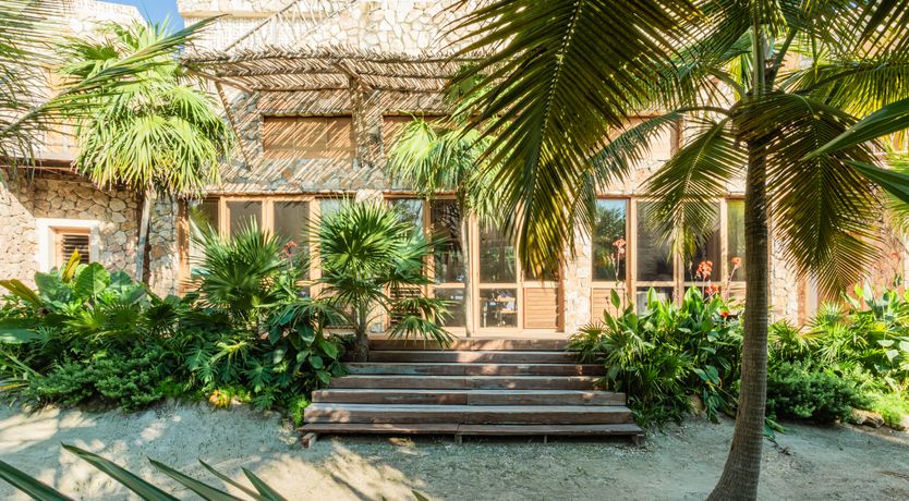 Photo of Jungle Moon