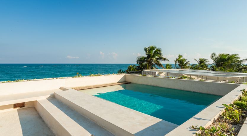 Photo of Jungle Moon