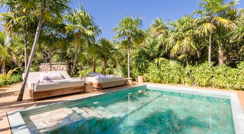 Photo of Jungle Moon