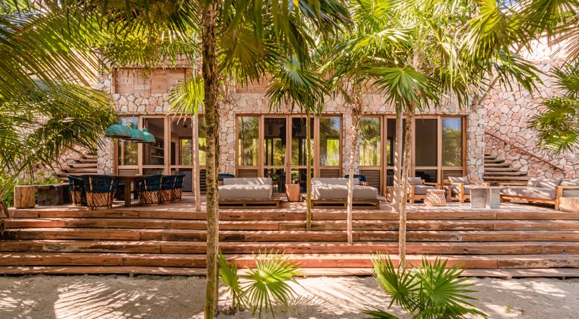 Photo of Jungle Moon