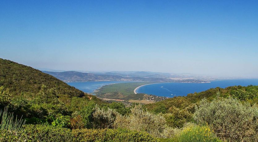 Photo of Archipelago Aura