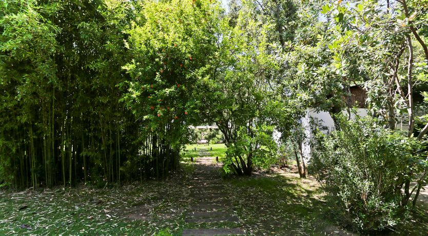 Photo of Little Vineyard